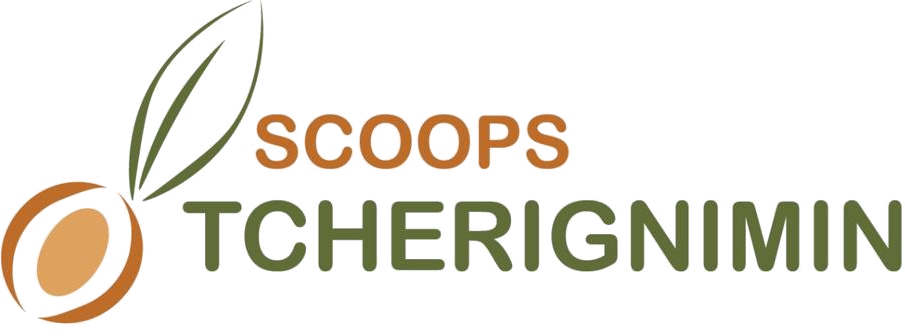 SCOOPS TCHEREGNIMIN DE PETIT PARIS - Beurre de karité
